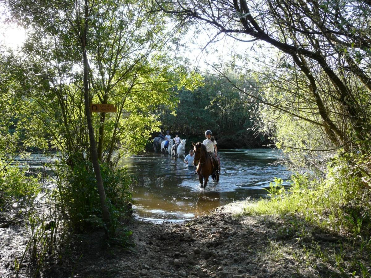 Complejo Oasis Beach Sobre El Rio Huerta  Exterior foto